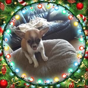 Meet your Posher, Debra